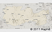 Shaded Relief 3D Map of La Colorada, semi-desaturated