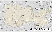 Shaded Relief Map of La Colorada, desaturated