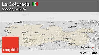 Shaded Relief Panoramic Map of La Colorada, desaturated