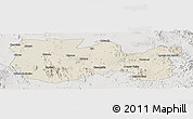 Shaded Relief Panoramic Map of La Colorada, lighten, semi-desaturated