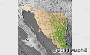 Satellite Map of Sonora, desaturated