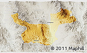 Physical 3D Map of Moctezuma, lighten, semi-desaturated