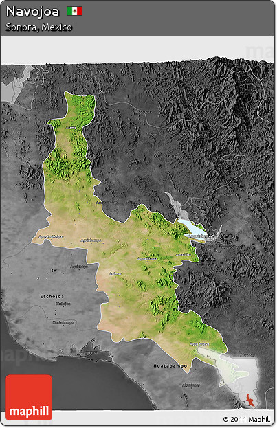Satellite 3D Map of Navojoa, darken, desaturated