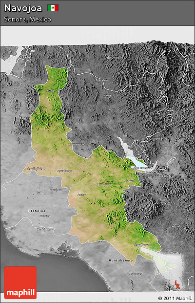 Satellite 3D Map of Navojoa, desaturated