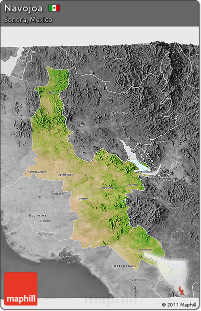 Satellite 3D Map of Navojoa, desaturated
