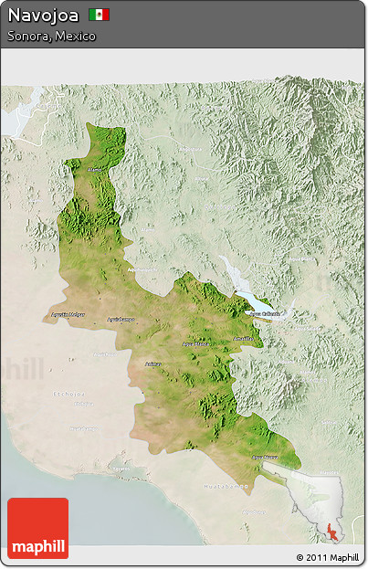 Satellite 3D Map of Navojoa, lighten
