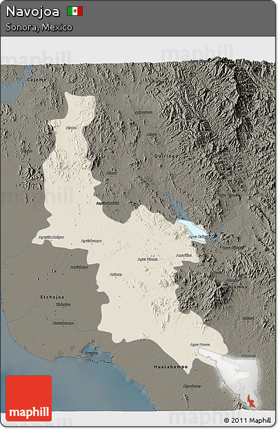 Shaded Relief 3D Map of Navojoa, darken