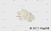 Shaded Relief Map of Onavas, single color outside