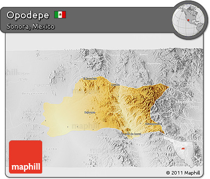 Physical 3D Map of Opodepe, lighten, desaturated