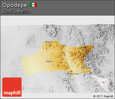 Physical 3D Map of Opodepe, lighten, desaturated