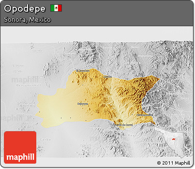 Physical 3D Map of Opodepe, lighten, desaturated