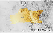 Physical 3D Map of Opodepe, lighten, desaturated