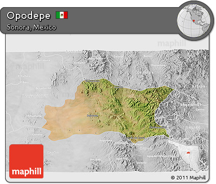 Satellite 3D Map of Opodepe, lighten, desaturated