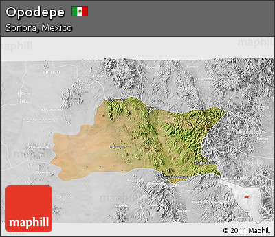 Satellite 3D Map of Opodepe, lighten, desaturated