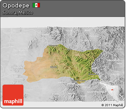 Satellite 3D Map of Opodepe, lighten, desaturated
