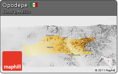 Physical Panoramic Map of Opodepe, lighten, desaturated
