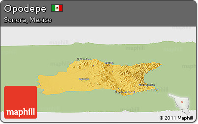 Savanna Style Panoramic Map of Opodepe, single color outside