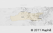 Shaded Relief Panoramic Map of Opodepe, lighten, desaturated