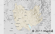 Shaded Relief Map of Quiriego, desaturated