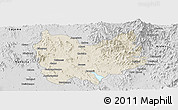 Shaded Relief Panoramic Map of Quiriego, desaturated