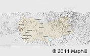 Shaded Relief Panoramic Map of Quiriego, lighten, desaturated