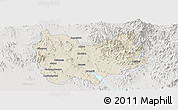 Shaded Relief Panoramic Map of Quiriego, lighten, semi-desaturated
