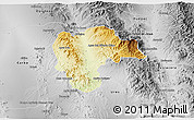 Physical 3D Map of Rayon, desaturated