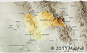 Physical 3D Map of Rayon, semi-desaturated