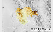 Physical Map of Rayon, lighten, desaturated