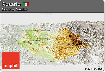 Physical Panoramic Map of Rosario, lighten, semi-desaturated