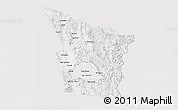 Silver Style 3D Map of Sahuaripa, single color outside
