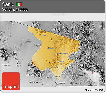 Physical 3D Map of Saric, desaturated