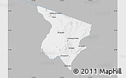 Gray Map of Saric, single color outside