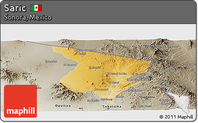 Physical Panoramic Map of Saric, semi-desaturated