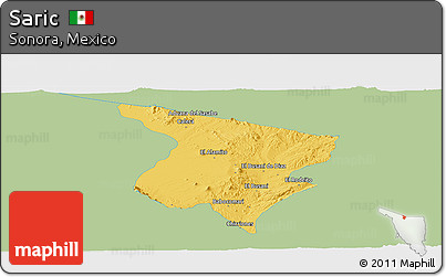 Savanna Style Panoramic Map of Saric, single color outside