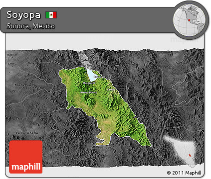 Satellite 3D Map of Soyopa, darken, desaturated