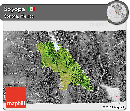 Satellite 3D Map of Soyopa, desaturated