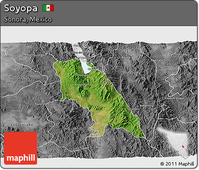 Satellite 3D Map of Soyopa, desaturated