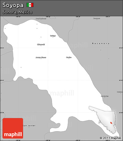 Gray Simple Map of Soyopa