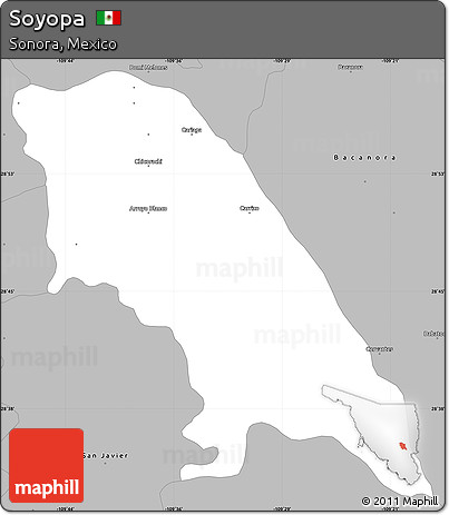 Gray Simple Map of Soyopa