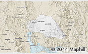 Classic Style 3D Map of Tepache