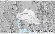 Gray 3D Map of Tepache