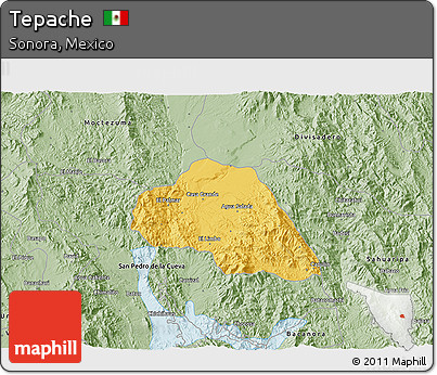 Savanna Style 3D Map of Tepache