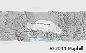 Gray Panoramic Map of Tepache