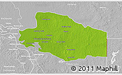 Physical 3D Map of Balancan, lighten, desaturated