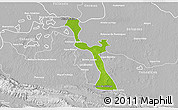 Physical 3D Map of Emiliano Zapata, lighten, desaturated