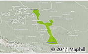 Physical 3D Map of Emiliano Zapata, lighten, semi-desaturated