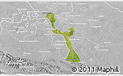 Satellite 3D Map of Emiliano Zapata, lighten, desaturated