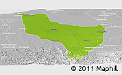 Physical Panoramic Map of Huimanguillo, lighten, desaturated