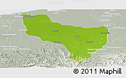 Physical Panoramic Map of Huimanguillo, lighten, semi-desaturated